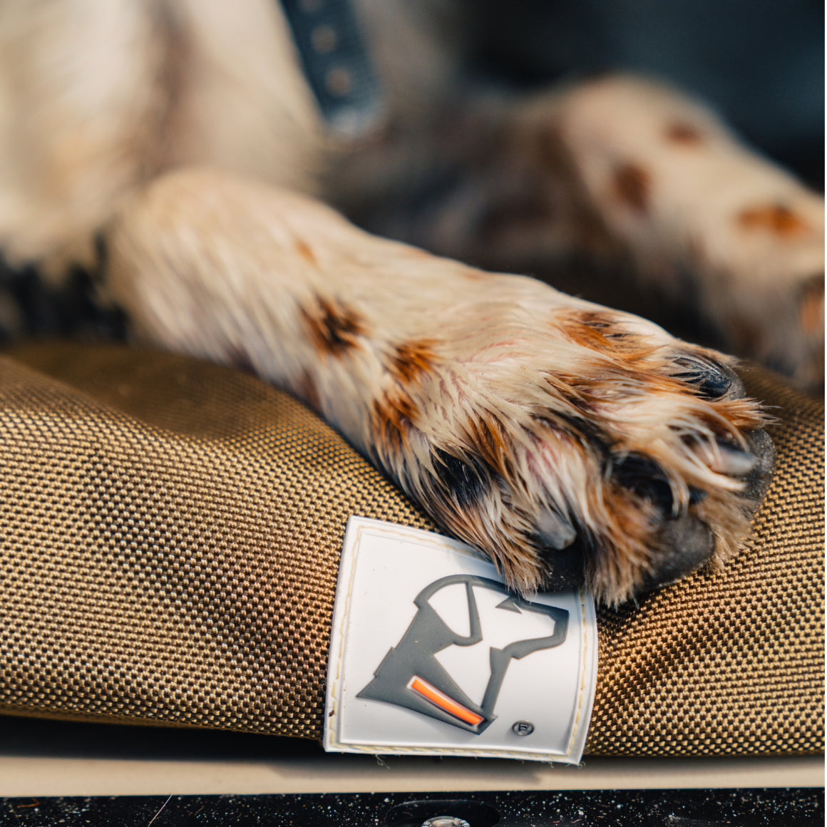 ORTHOPEDIC KENNEL BED