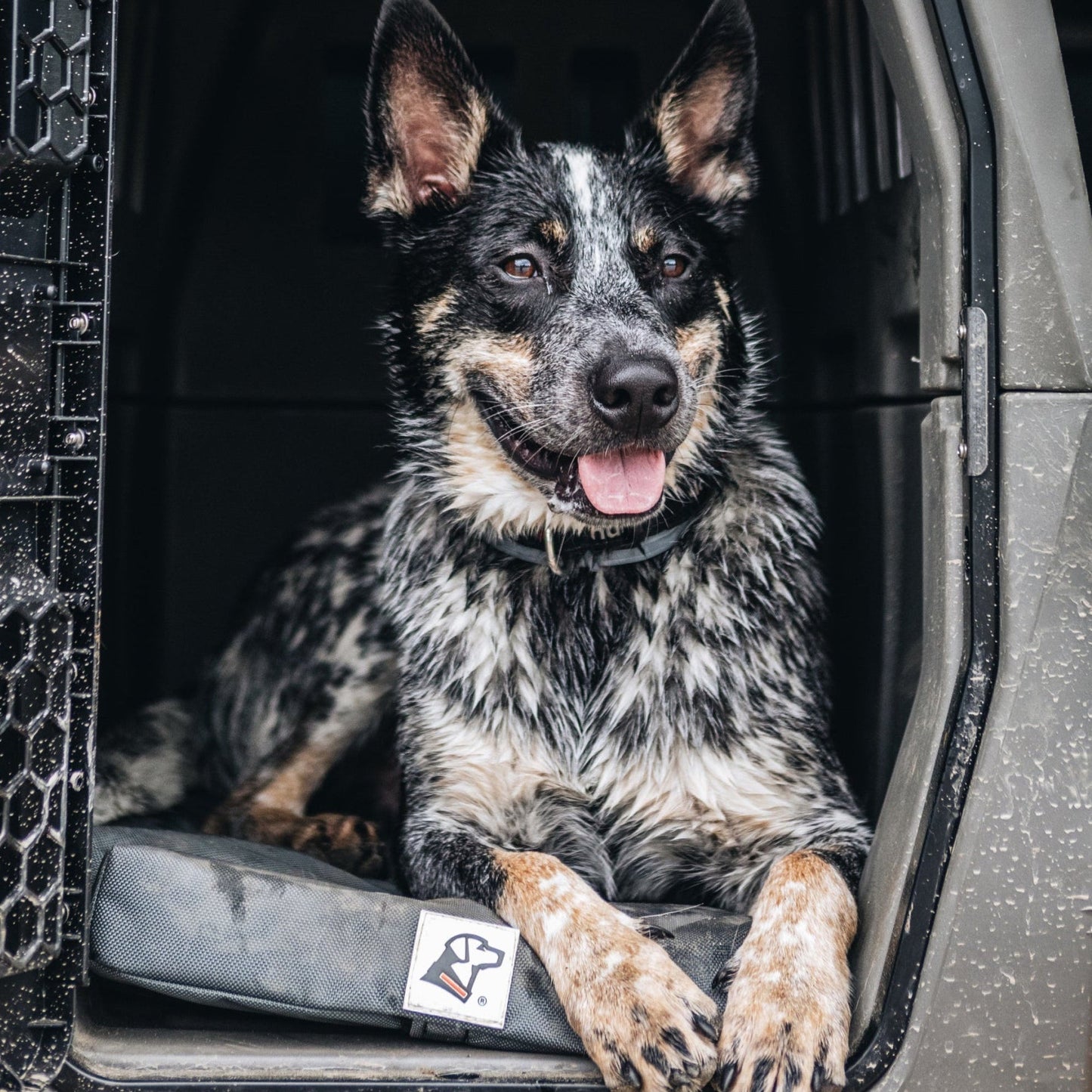 ORTHOPEDIC KENNEL BED