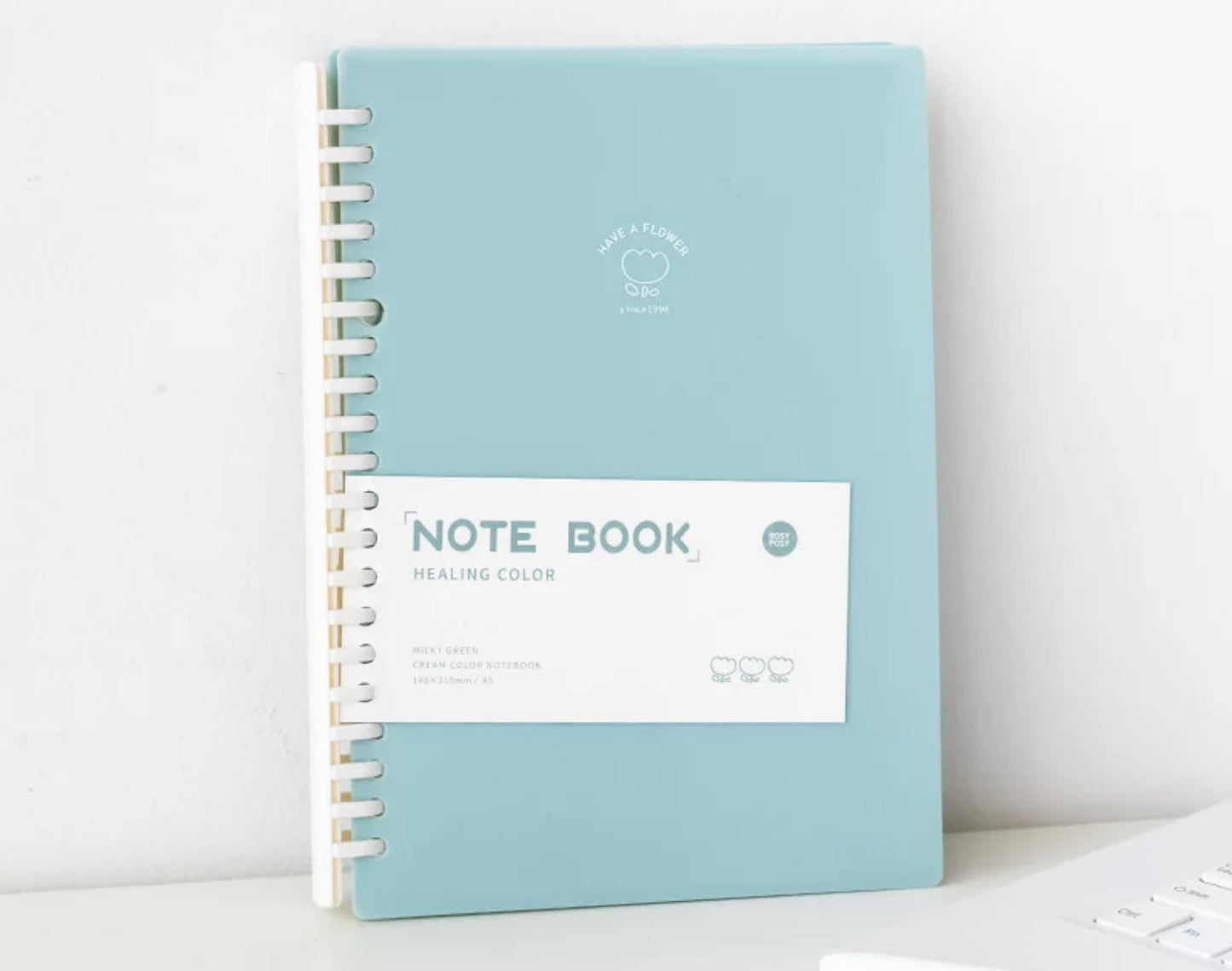 B5 Loose Leaf Binder Notebook