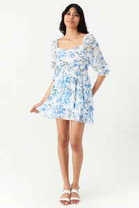 Blue Rose Print Chiffon Ra Ra Dress