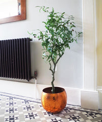 Artificial Olive Tree Bush by Leaf Design UK Artificial Olive Tree Black Pot Botanik-4