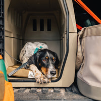 ORTHOPEDIC KENNEL BED