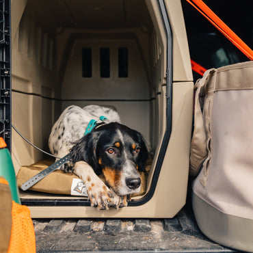 ORTHOPEDIC KENNEL BED