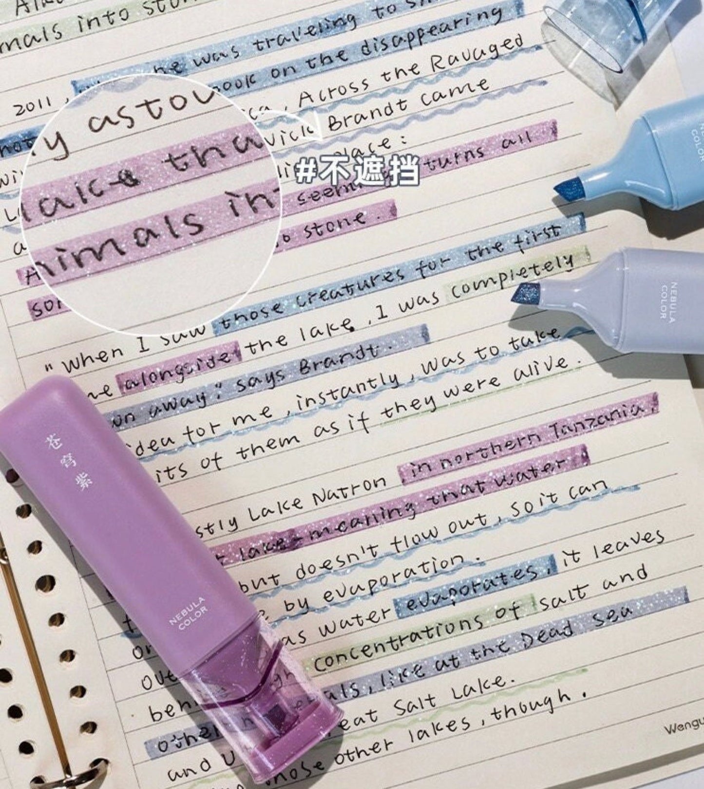 Iridescent Nebula Highlighter Pens