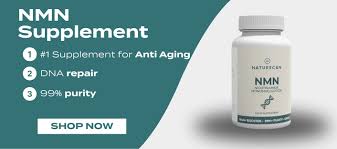New It's free to sell on eBay Excludes Vehicles and business sellers Sell one like this Sell something else  Share Naturecan NMN Supplement NAD+ Booster Anti-Aging Longevity 500mg - 60 Capsules