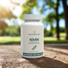New It's free to sell on eBay Excludes Vehicles and business sellers Sell one like this Sell something else  Share Naturecan NMN Supplement NAD+ Booster Anti-Aging Longevity 500mg - 60 Capsules