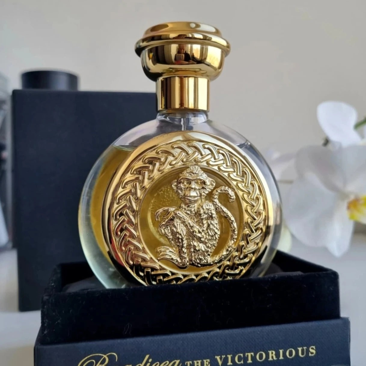 100ml Luxury Fragrance Perfumes Longevity Fruit Musk Amberwood Gentle Scent Fragrance for Woman Fashion Enchanting Mens Cologne